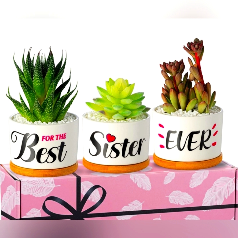 3 PC set Sister Gift Garden Decor Planter Succulent Pots Birthday Mothers New
